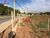 Terreno, 4563 m² - Foto 3