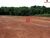 Terreno, 3 hectares - Foto 1
