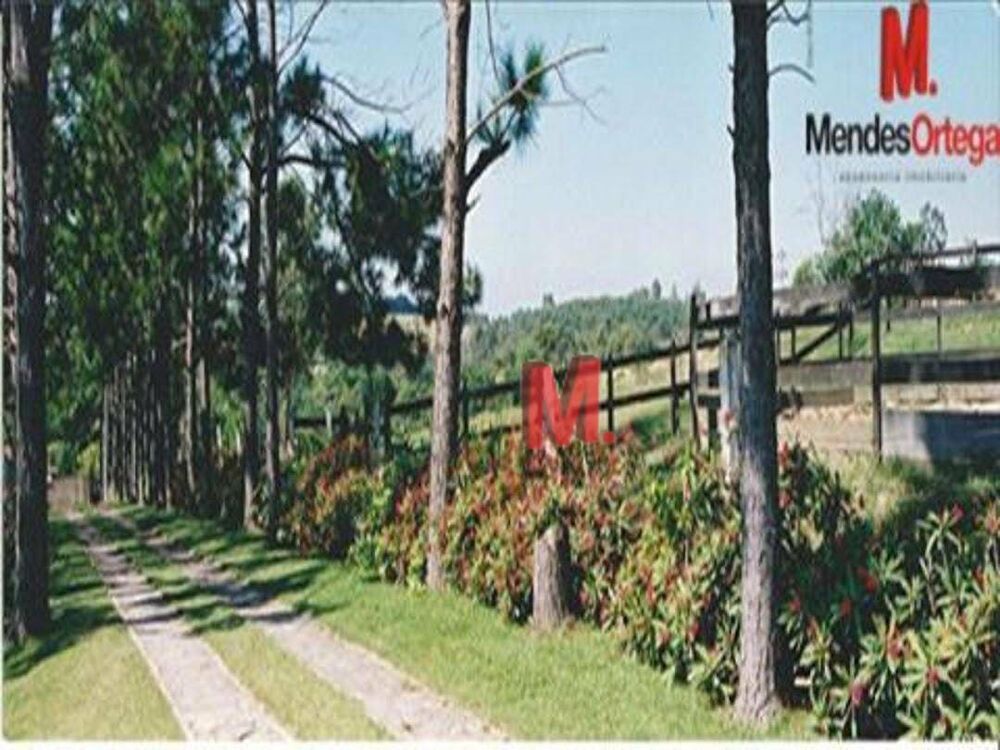 Chácara, 4 quartos, 3 hectares - Foto 3