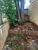 Terreno, 323 m² - Foto 3