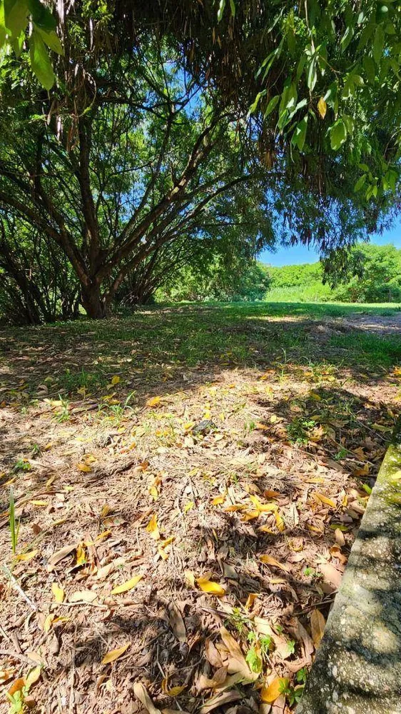 Terreno, 2260 m² - Foto 3