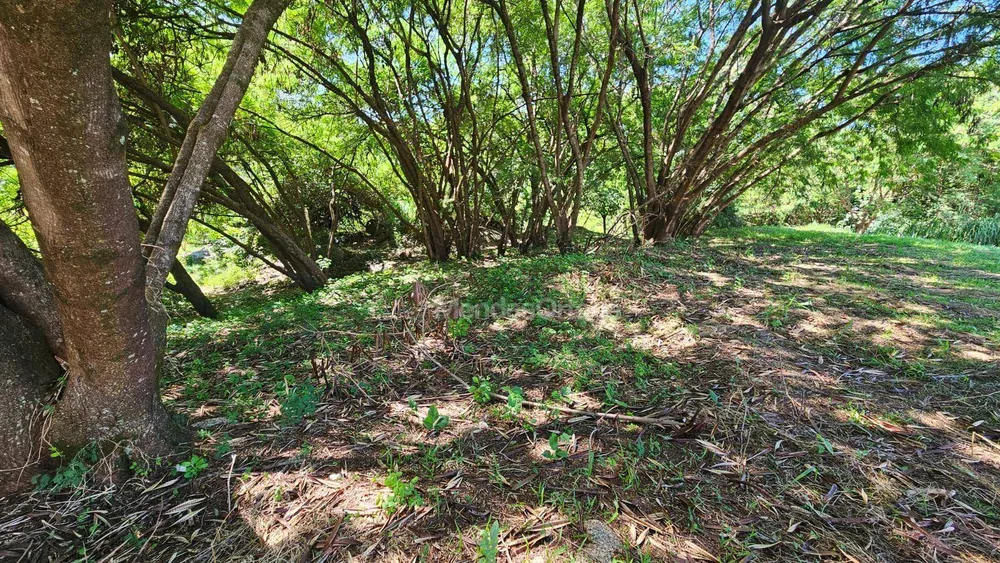 Terreno, 2260 m² - Foto 4