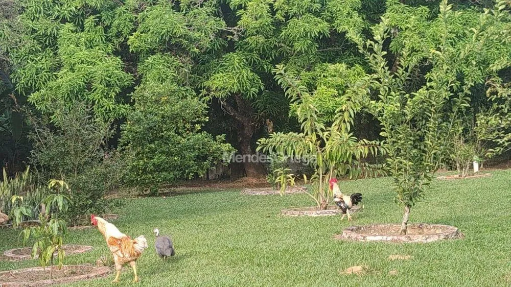 Chácara, 4 quartos, 1 hectares - Foto 11