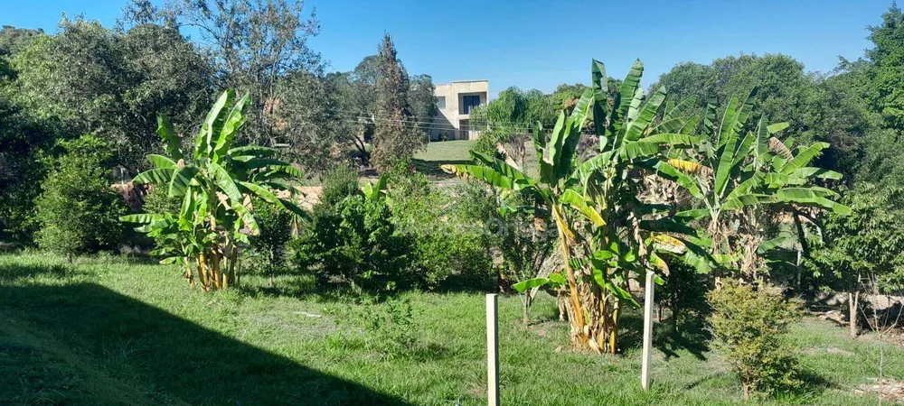 Chácara, 4 quartos, 1290 m² - Foto 14