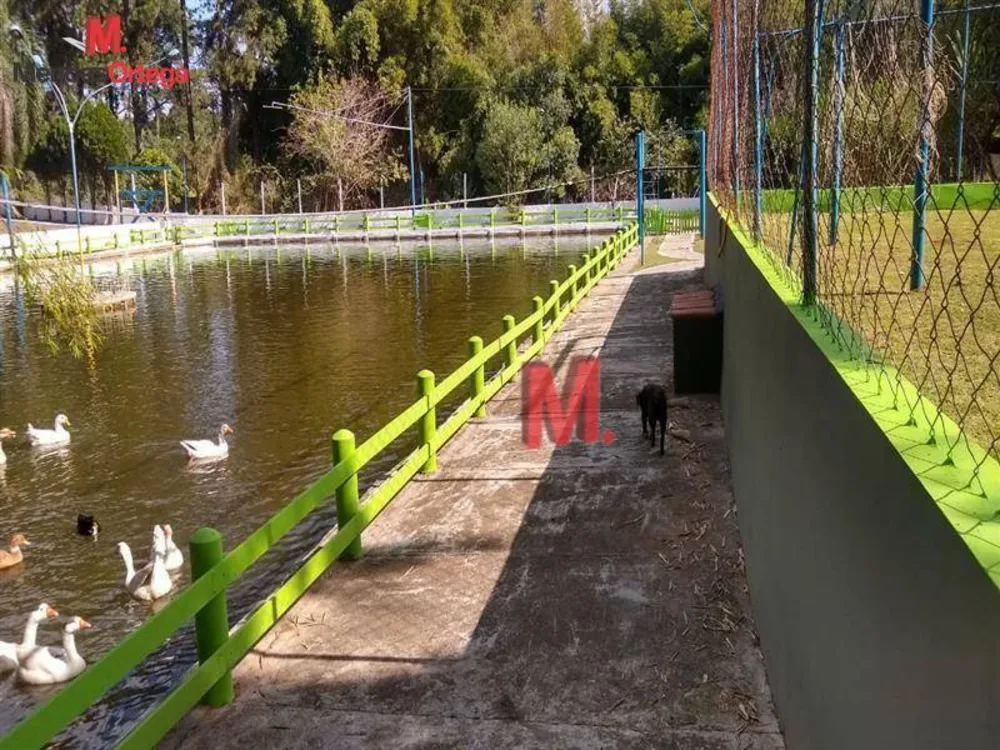 Chácara, 3 quartos, 7000 m² - Foto 2