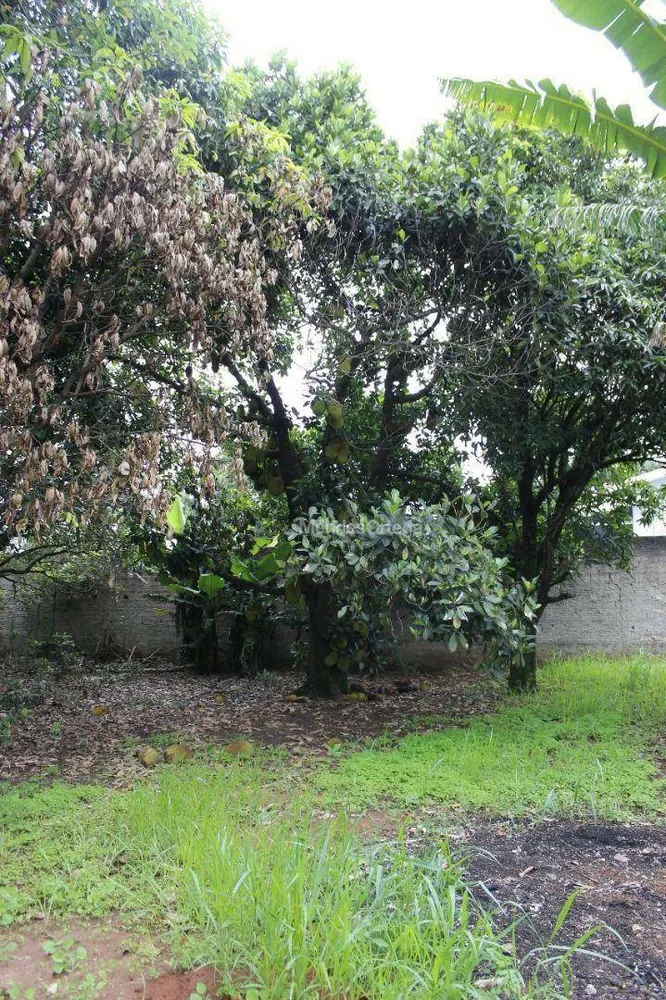 Chácara, 1 quarto, 1100 m² - Foto 11