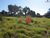 Terreno, 1 hectares - Foto 3