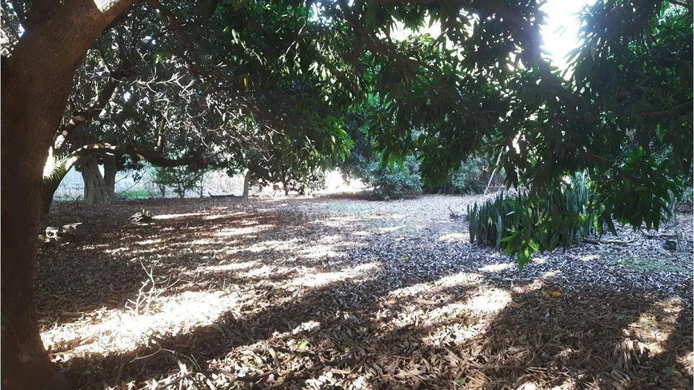 Chácara, 5 quartos, 4250 m² - Foto 6