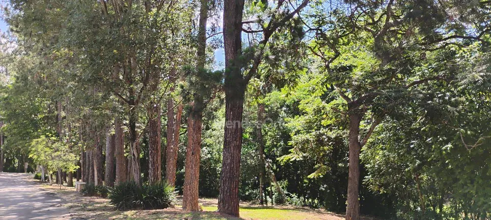 Chácara, 6 quartos, 1500 m² - Foto 16
