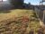 Terreno, 1000 m² - Foto 1