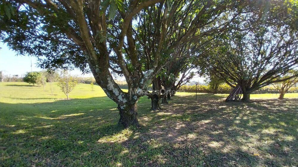 Terreno, 1330 m² - Foto 3