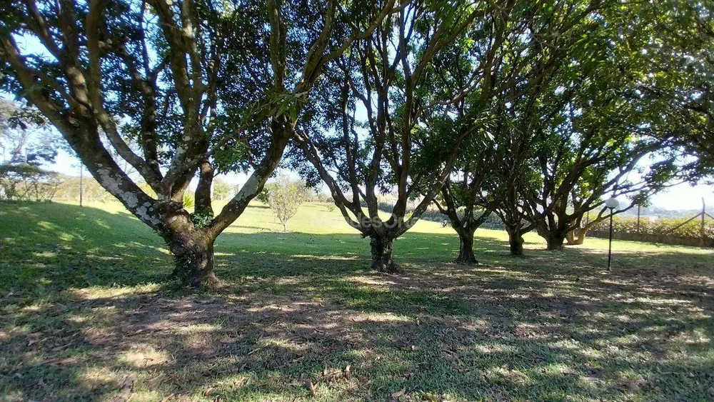 Terreno, 1330 m² - Foto 5