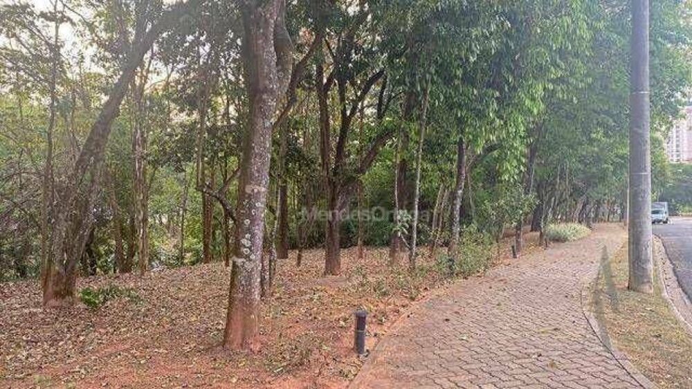 Loteamento e Condomínio, 360 m² - Foto 4