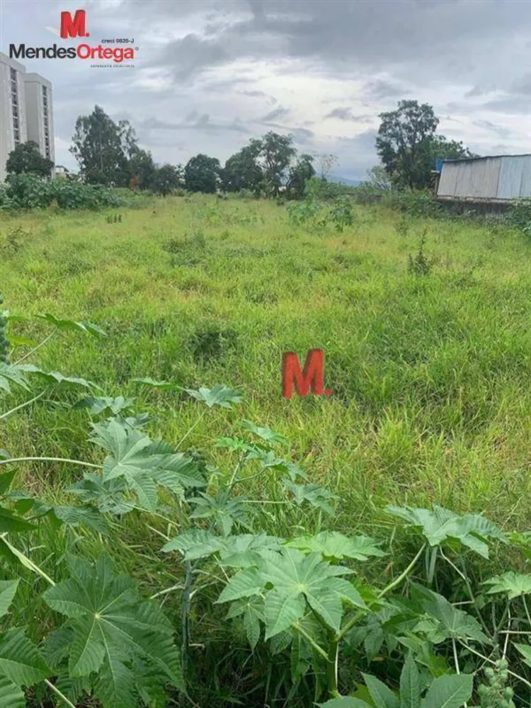Terreno, 1 hectares - Foto 3