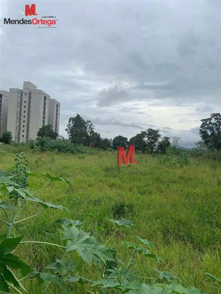 Terreno, 1 hectares - Foto 5