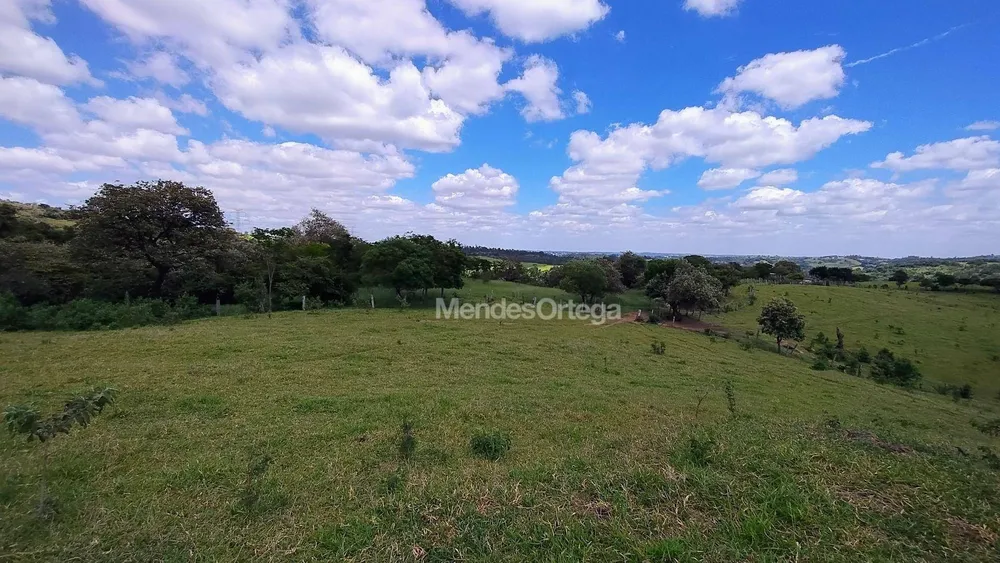 Terreno, 97 hectares - Foto 4