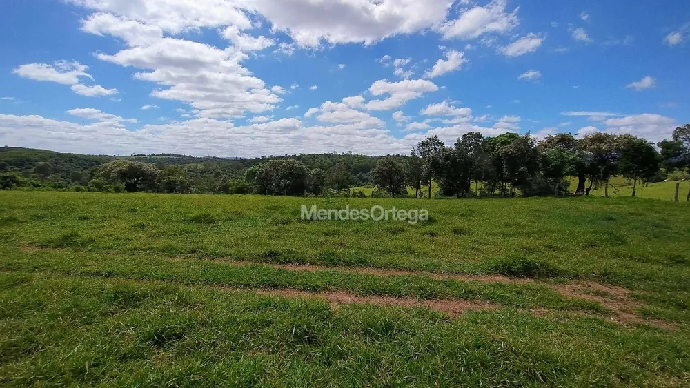 Terreno, 97 hectares - Foto 9