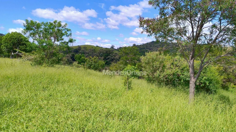 Terreno, 97 hectares - Foto 10