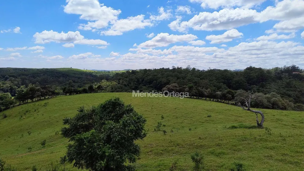 Terreno, 97 hectares - Foto 2
