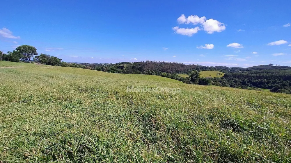 Terreno, 97 hectares - Foto 6