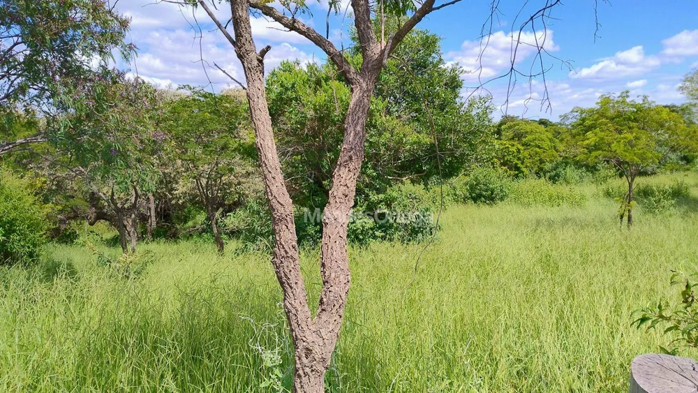 Terreno, 97 hectares - Foto 11