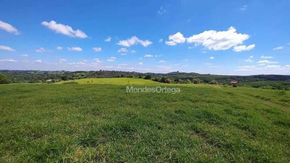 Terreno, 97 hectares - Foto 7