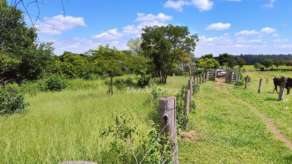 Terreno, 97 hectares - Foto 12