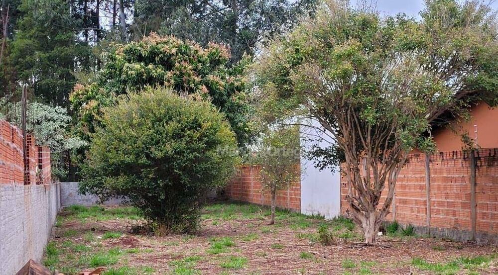Terreno, 550 m² - Foto 4