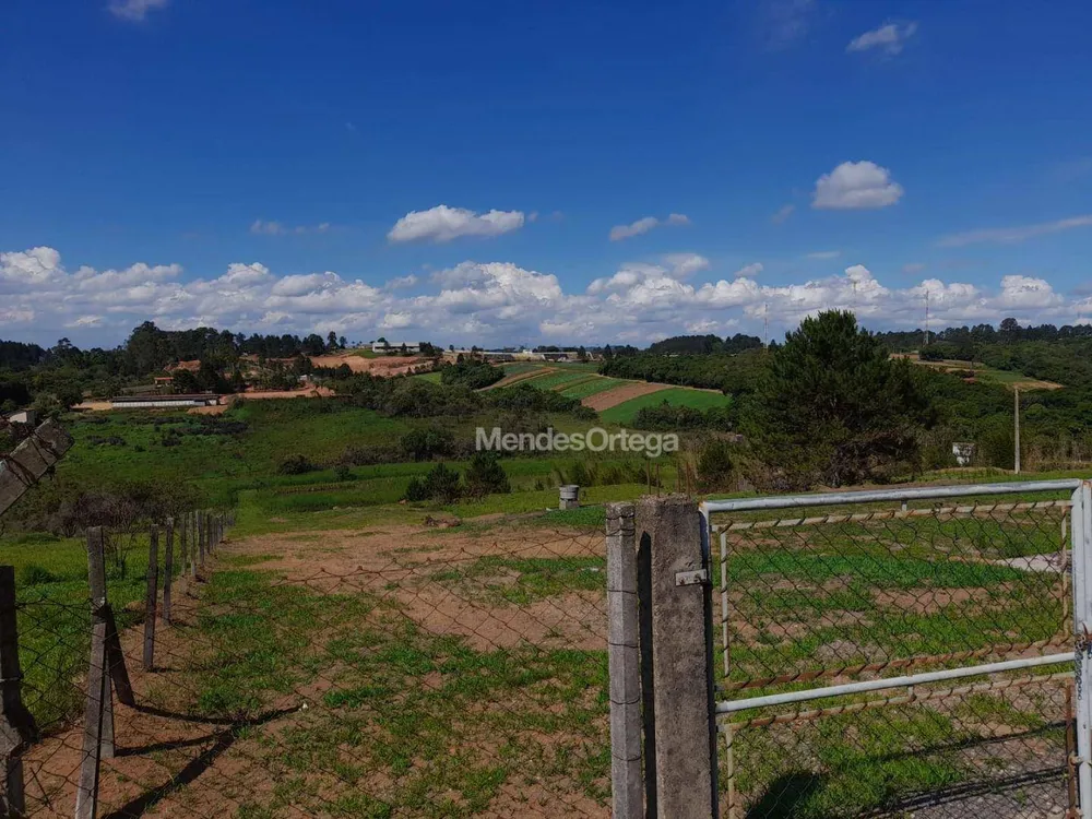 Terreno, 3 hectares - Foto 1