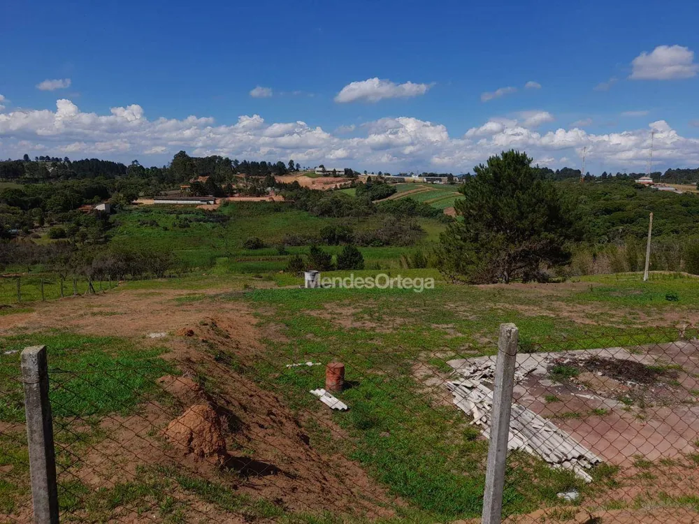 Terreno, 3 hectares - Foto 3
