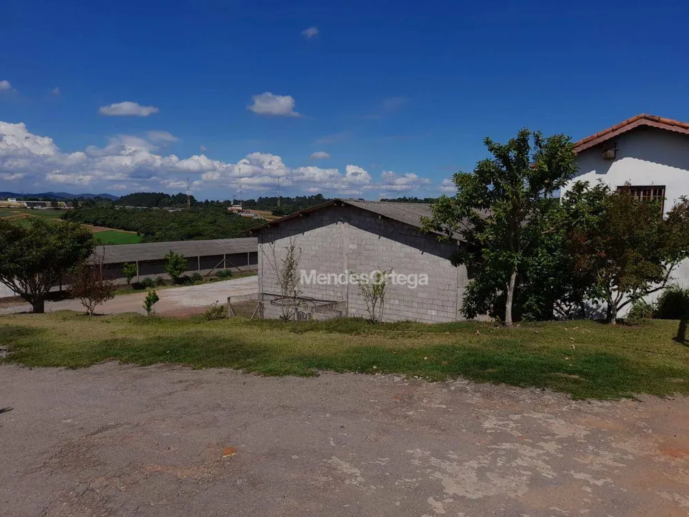 Terreno, 3 hectares - Foto 1