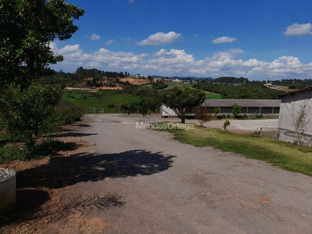 Terreno, 3 hectares - Foto 3