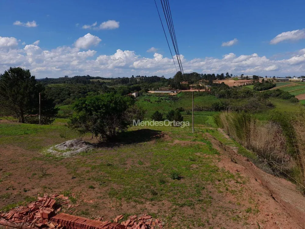 Terreno, 3 hectares - Foto 4