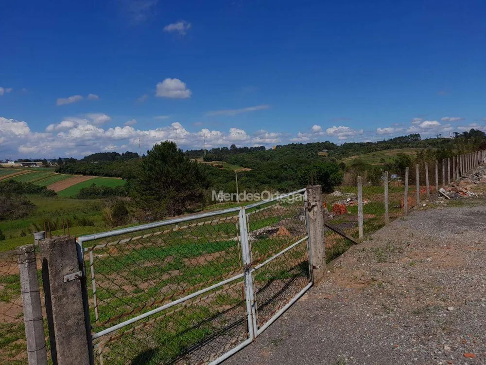 Terreno, 3 hectares - Foto 6