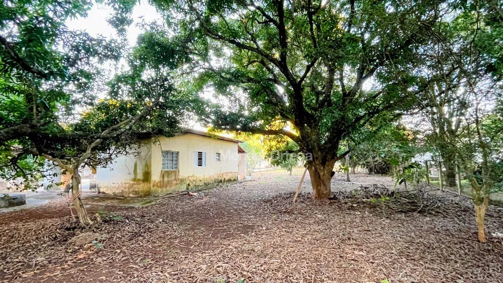 Chácara, 2 quartos, 3000 m² - Foto 4