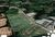 Terreno, 4 hectares - Foto 4