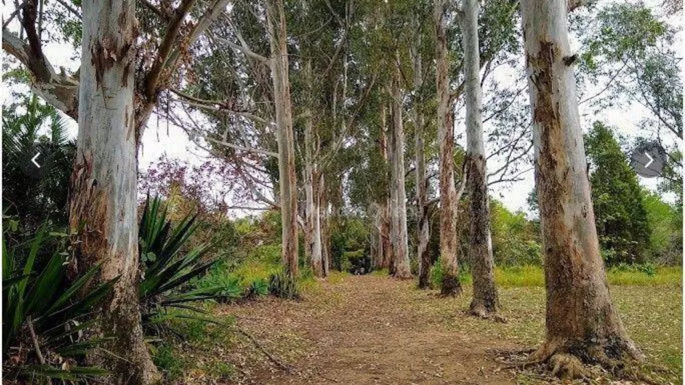 Terreno à venda, 72600M2 - Foto 1