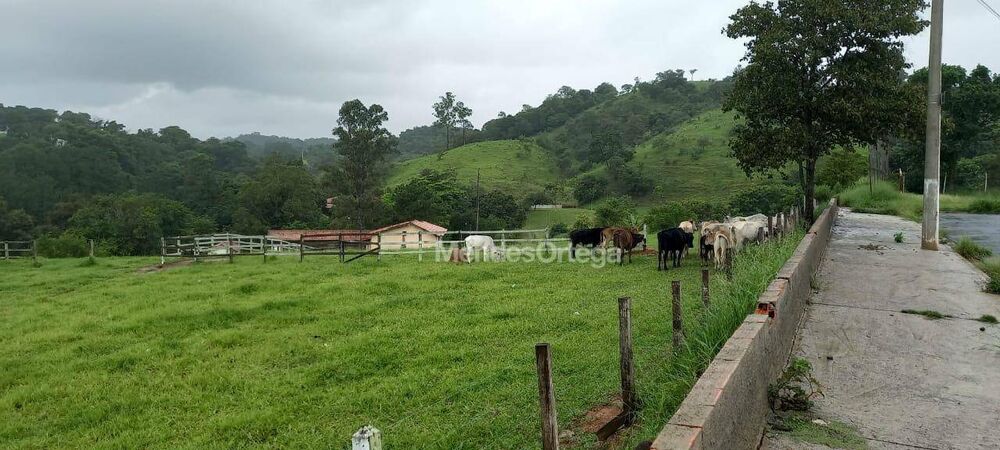 Terreno à venda, 67000M2 - Foto 2