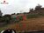 Terreno, 578 m² - Foto 3