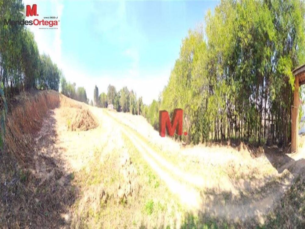 Terreno, 10 hectares - Foto 2