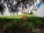 Terreno, 705 m² - Foto 4