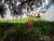 Terreno, 705 m² - Foto 3
