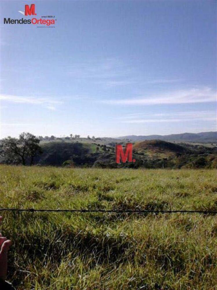 Terreno, 18 hectares - Foto 2