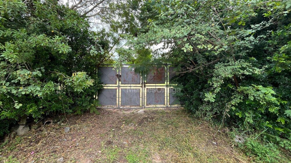 Chácara à venda com 3 quartos, 140m² - Foto 4