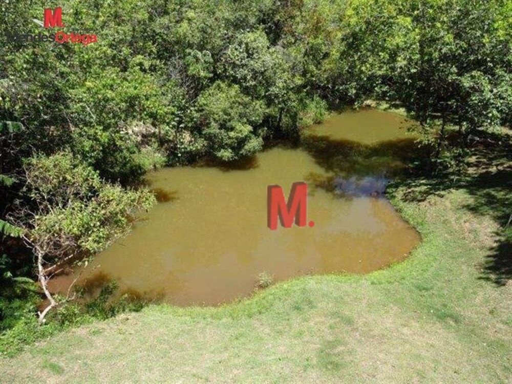 Chácara à venda com 5 quartos, 600m² - Foto 10