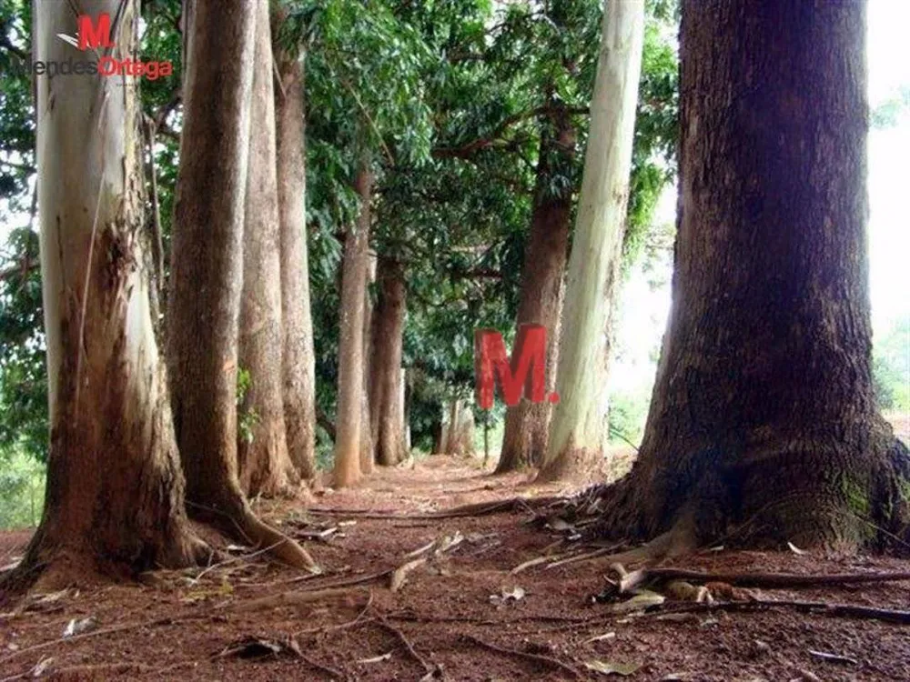 Chácara, 5 quartos, 2 hectares - Foto 17