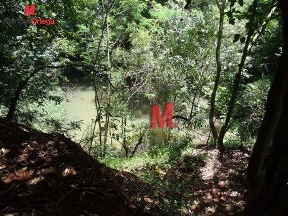 Chácara à venda com 5 quartos, 600m² - Foto 12