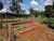 Chácara, 5 quartos, 2 hectares - Foto 16
