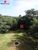 Chácara, 5 quartos, 2 hectares - Foto 14