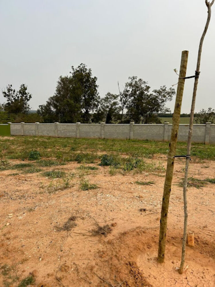 Loteamento e Condomínio, 300 m² - Foto 4